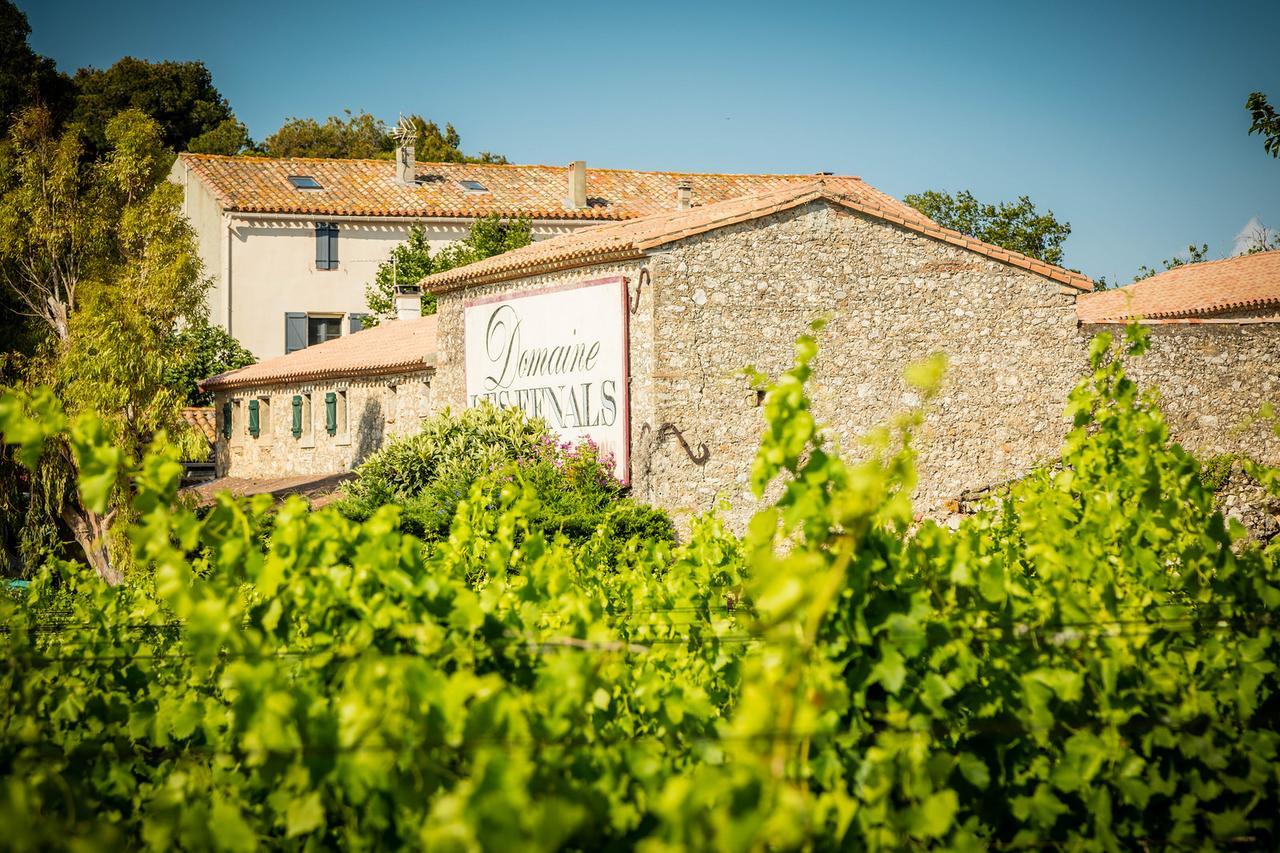 Les Fenals Villa Fitou Exterior photo